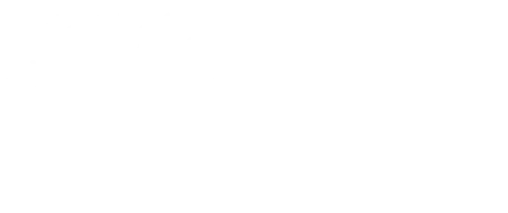 Plant een olijfboom